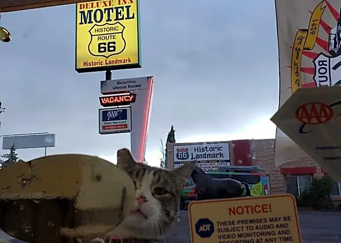 Deluxe Motel 3*